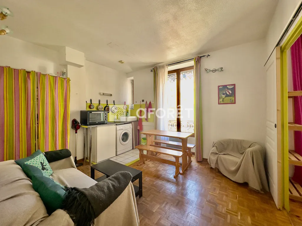Elutuba - 2-Bedroom Flat in Grenoble Centre