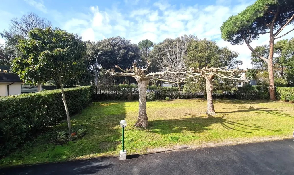 Jardin - Apartment with Sea View in Lido di Camaiore
