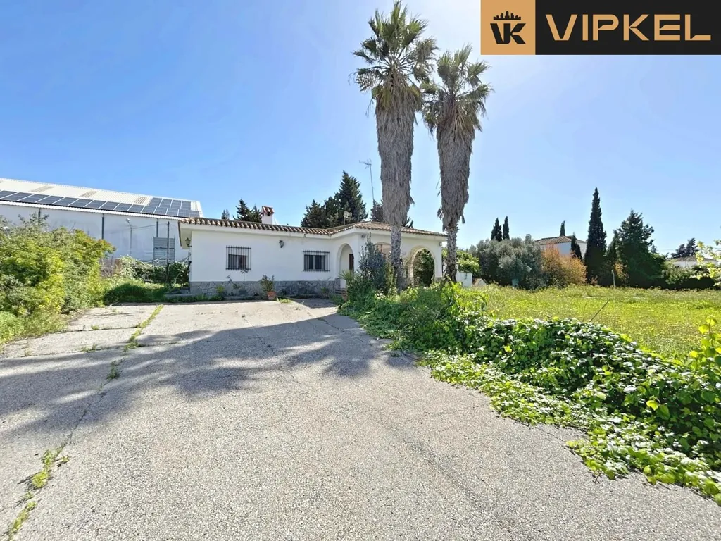 Jardin - Chalet with Pool in Roche, Conil de la Frontera