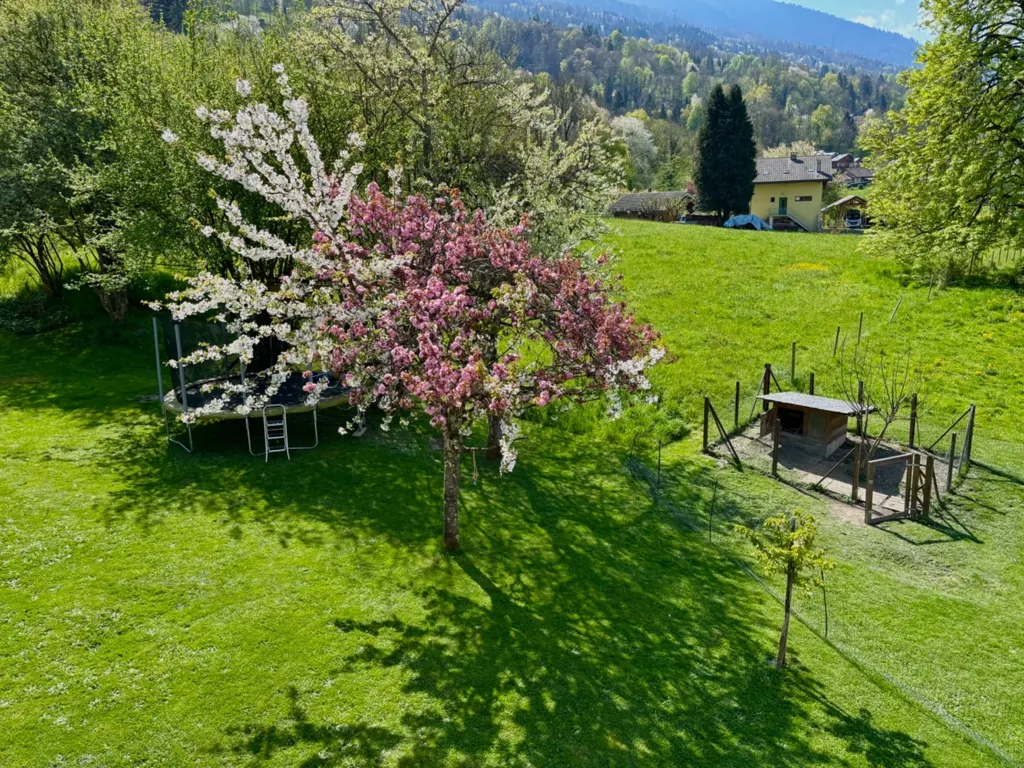 Garden - 5-Piece House with Garden in Village Setting