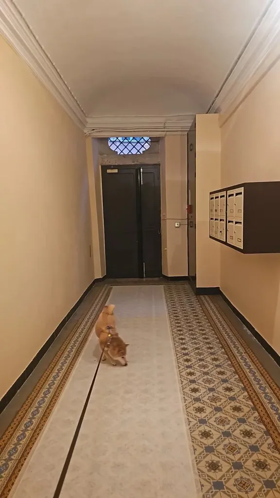 Hallway - Apartment with Water View in Nice