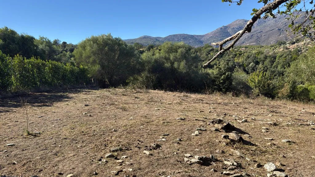 Aed - Buildable Land with Garden in Rapale