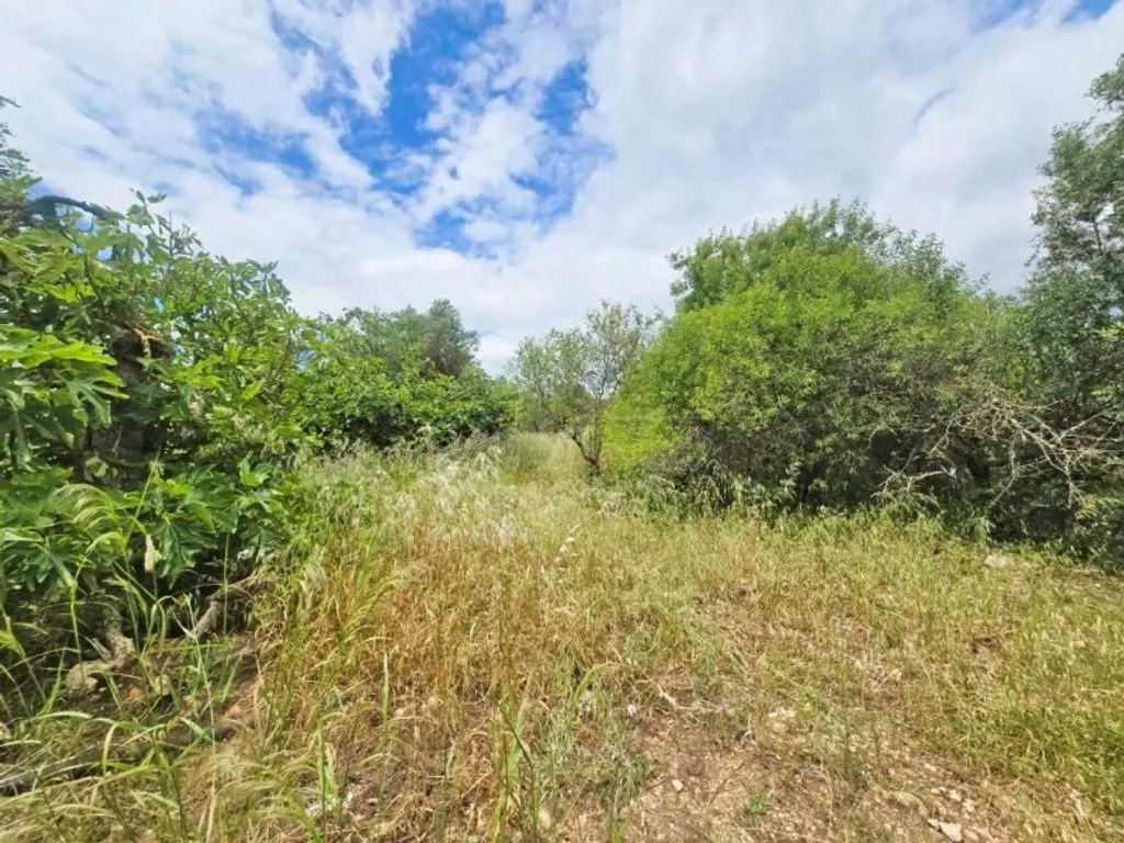 Jardin - Cottage with Rehabilitation Potential near Tavira