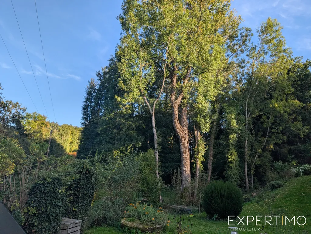 Garden - Historic Mill and Gîte with Water Rights in Commentry