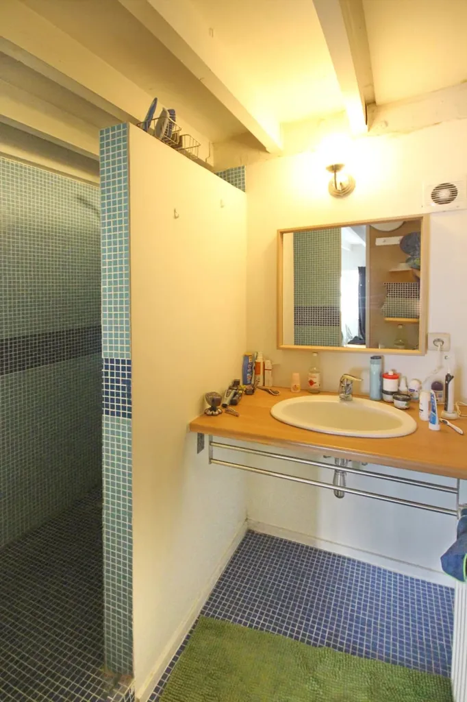 Bathrooms - Loft with Terrace in Flower Garden District