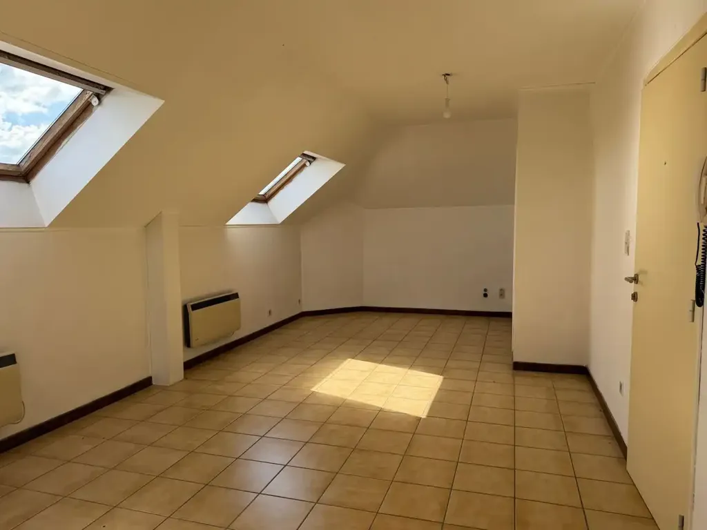 Toad - Duplex Apartment with 4 Bedrooms in Brustem Centre