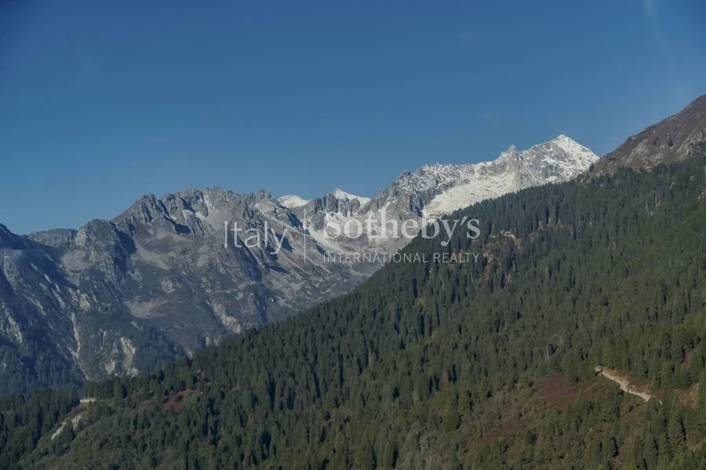 New Chalet with Dolomites View in Brenta