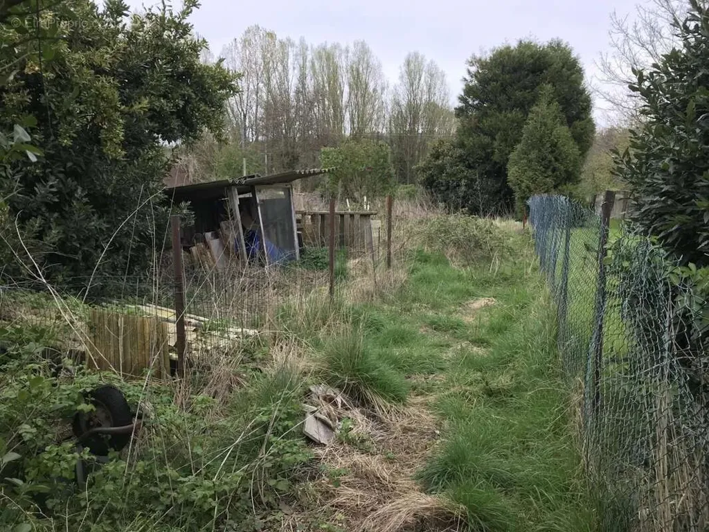 Jardin - Maison de Ville à Rénover avec Jardin