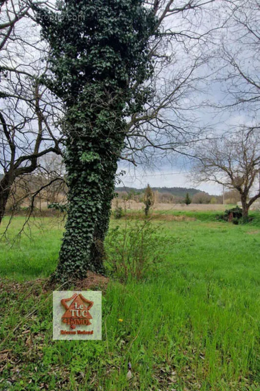 Aed - Constructible Plot with South Exposure in Bollène