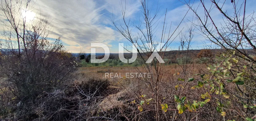 Jardin - Plot with Sea View near Barban, Istra