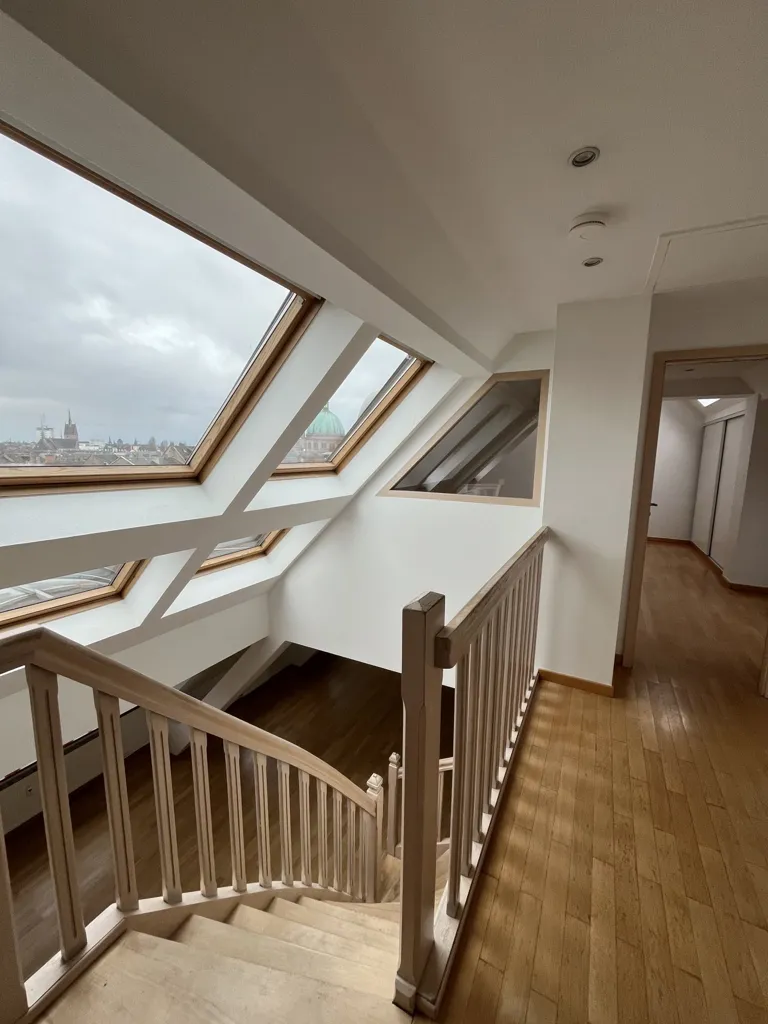 Pièces - Duplex avec Terrasse à Strasbourg République