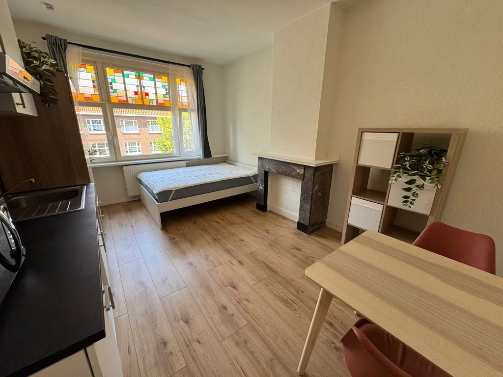 Camere da letto - Studio with Kitchenette in The Hague