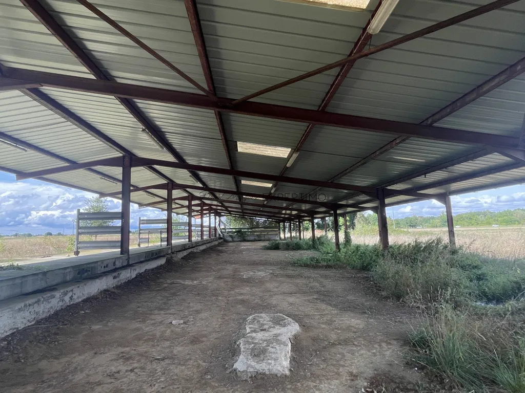 Terrass - Metal Hangar with 3.7-acre Plot in Saint-Just