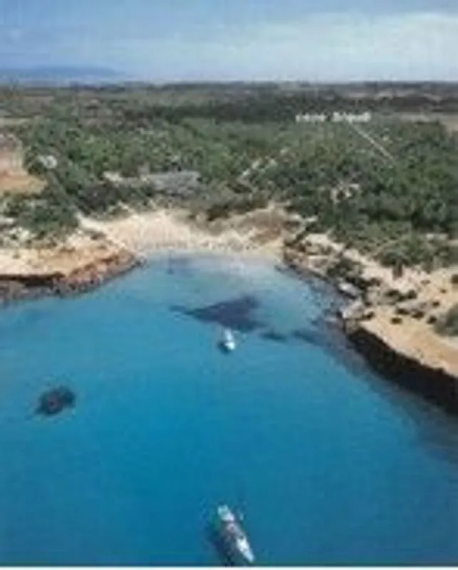 Õhuvaade - Rural House with Terrace in Formentera