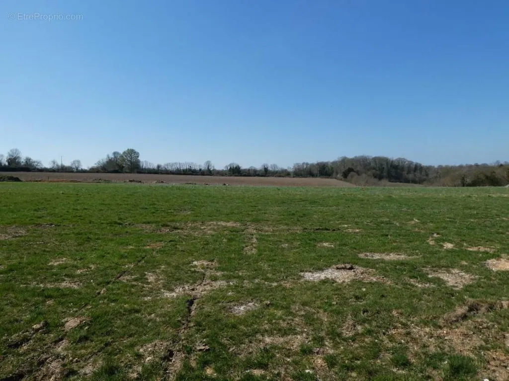 Giardino - Buildable Plot with Viability in Manerbe