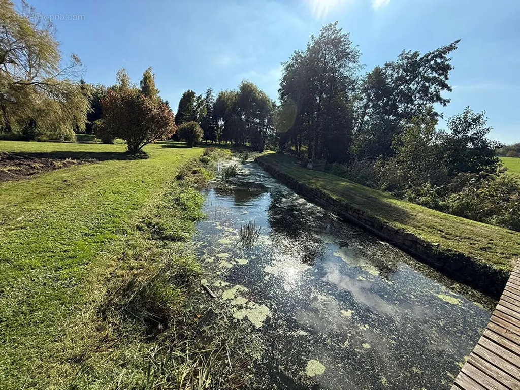 Jardin - Moulin Rénové avec Gîte dans les Vosges