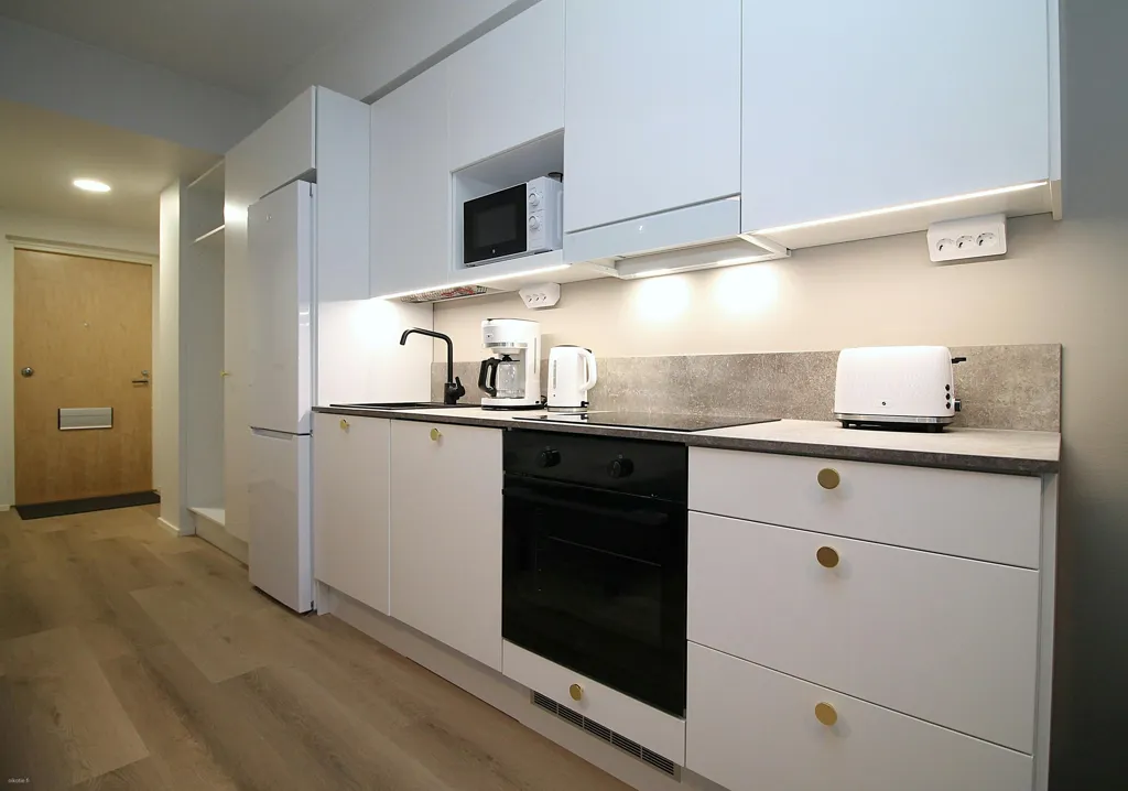 Cucina - Furnished Studio with Kitchen in Turku