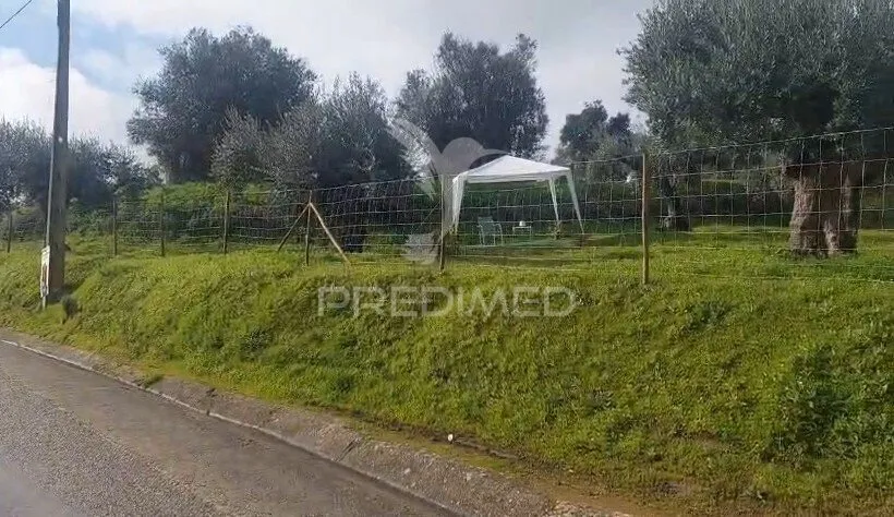 Jardin - Rural Plot with Olive Trees in Lapinha, Praia do Ribatejo