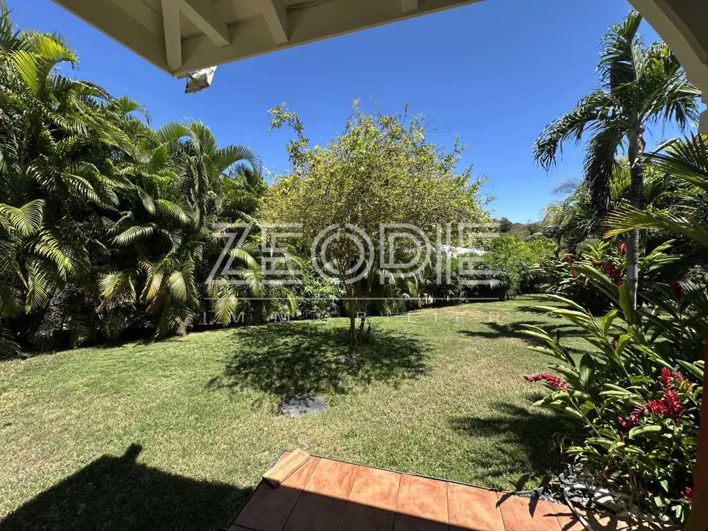 Jardin - Villa d'Architecte avec Piscine à Saint-François