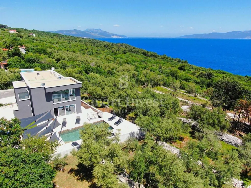 Vista aerea - New Villa with Pool near Labin