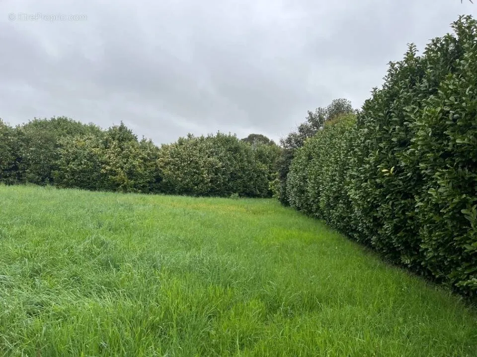 Jardin - Terrain Viabilisé avec Jardin à Loriol-sur-Drome