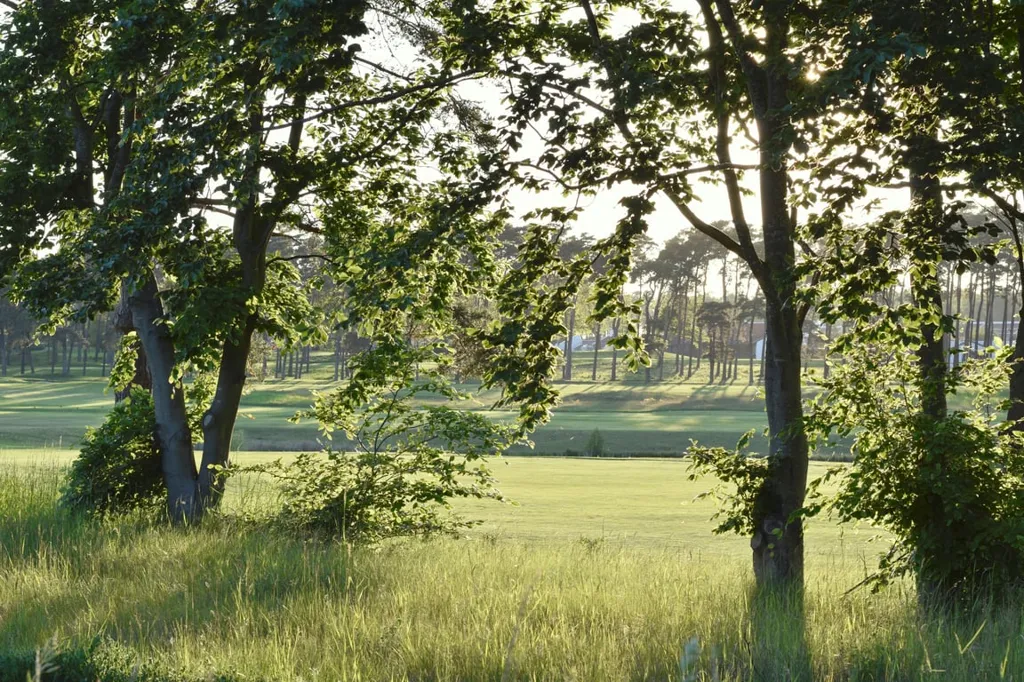 Aed - Three Plots with Nature Near Hofterup