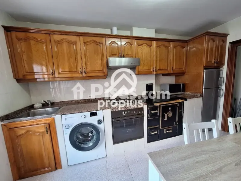 Cuisine - Reformed 2-Bed Flat with Terrace in Cangas de Onís