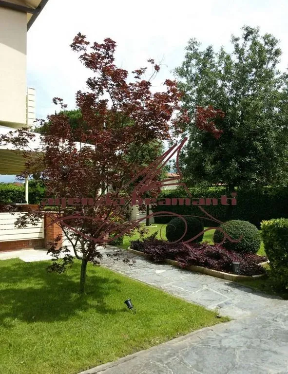 Jardin - Luxury Villa with Garden in Forte dei Marmi