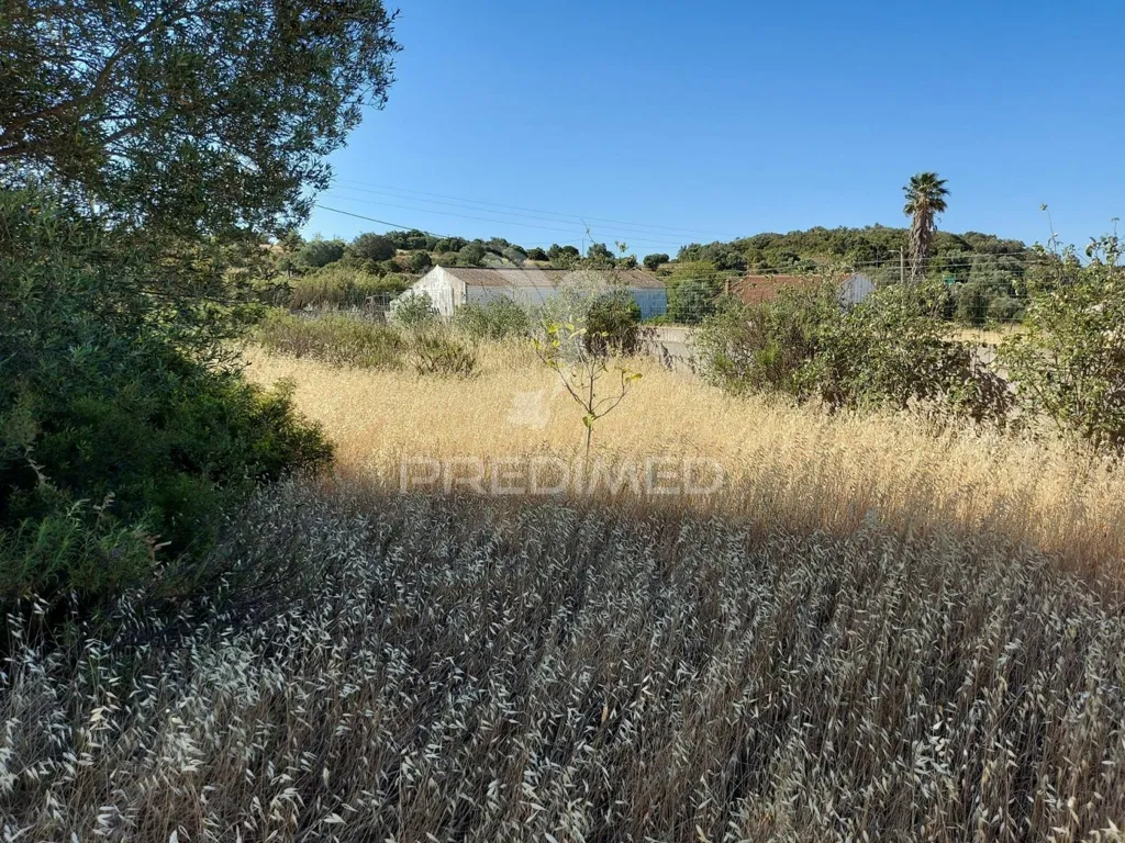 Aed - Delimited Land with Fruit Trees near Lagos