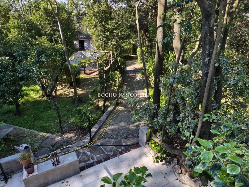 garden