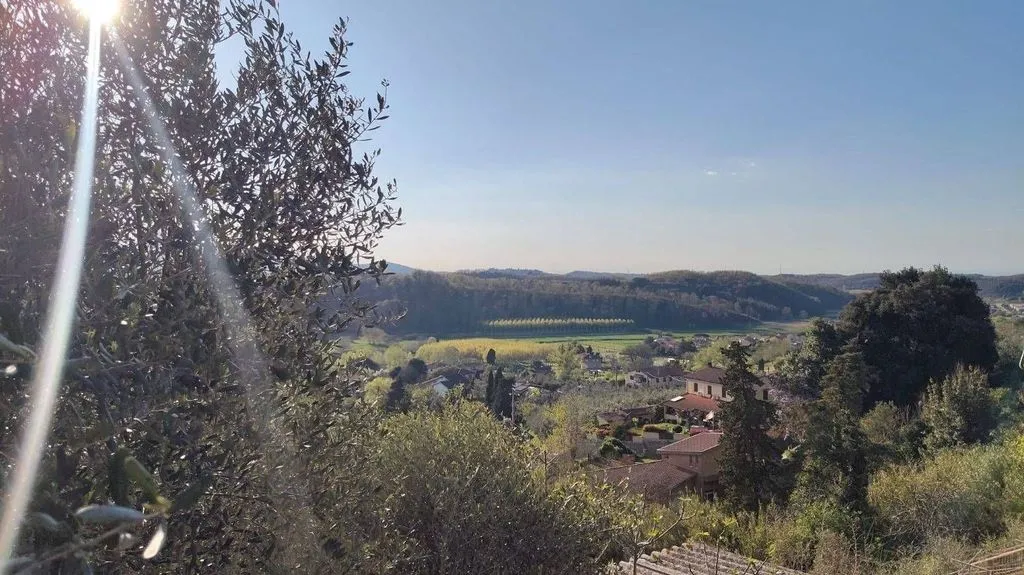 Jardin - Luxury Villa with Panoramic Views in Crespina Lorenzana