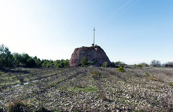 Garden - Land Parcel in Rincón de Soto, La Rioja