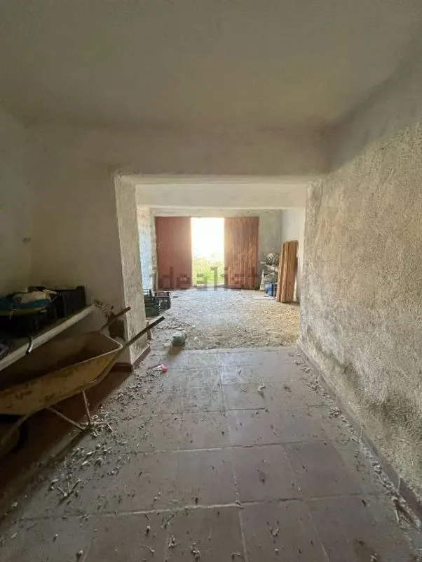 Toad - Rustic House with Terrace in Murtas