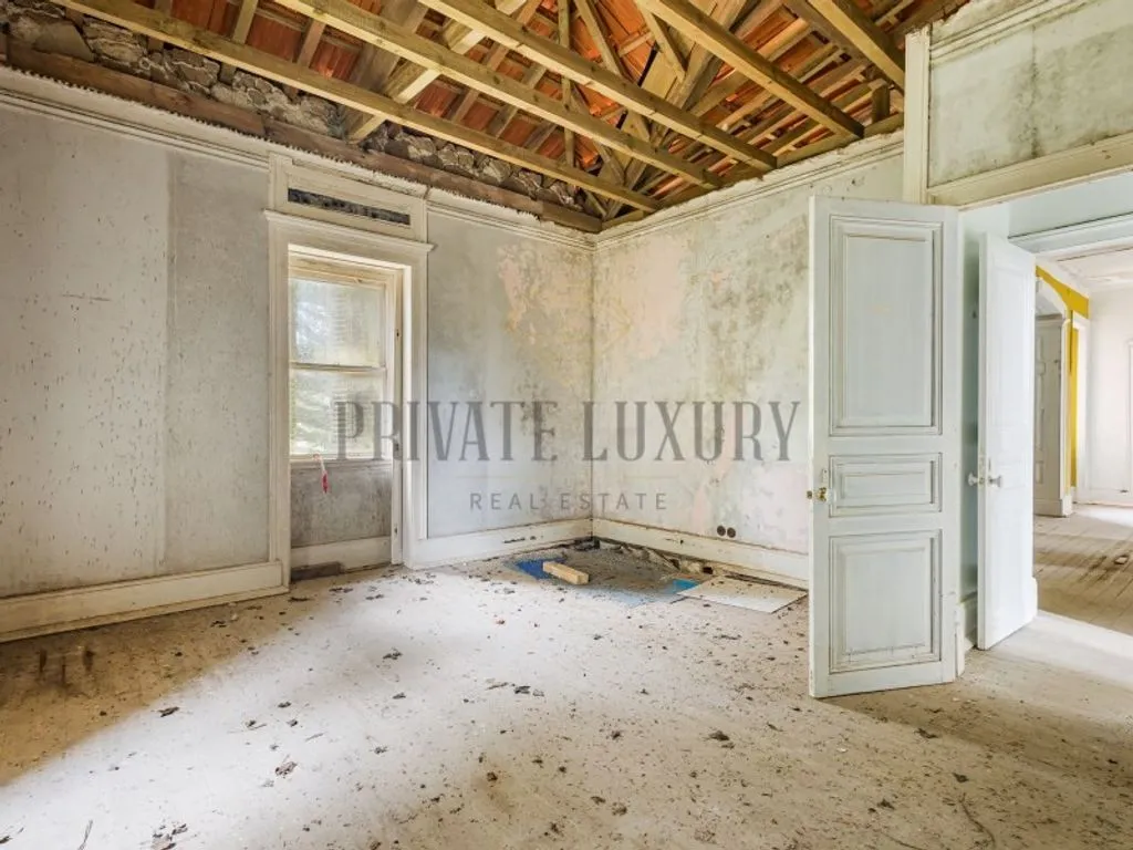 Toad - Historic Quinta with 100 Hectares in Sintra