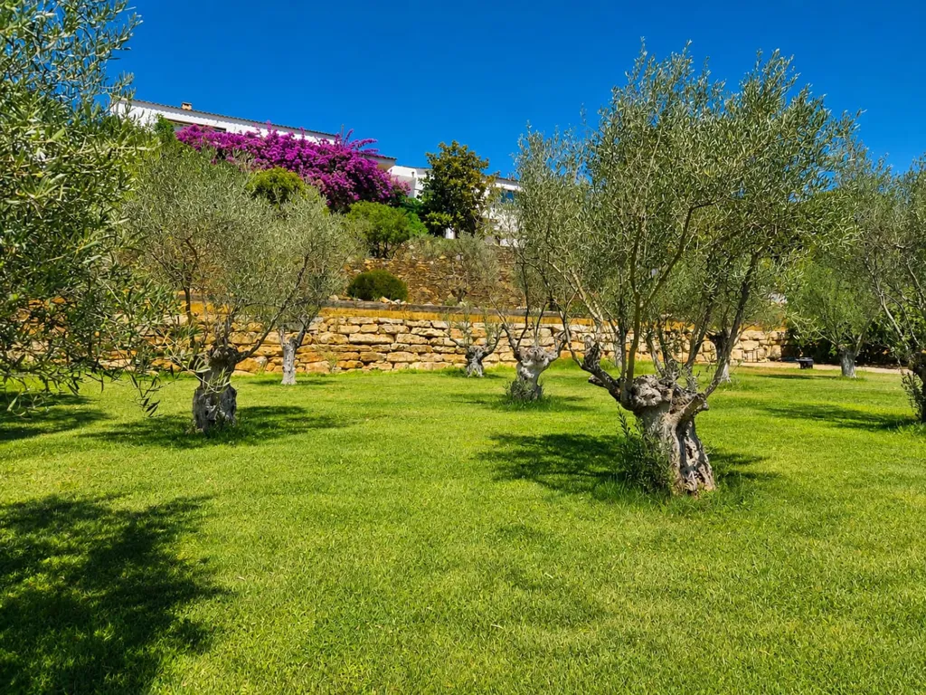 Giardino - Architectural House with Panoramic View in Pierrefeu-du-Var