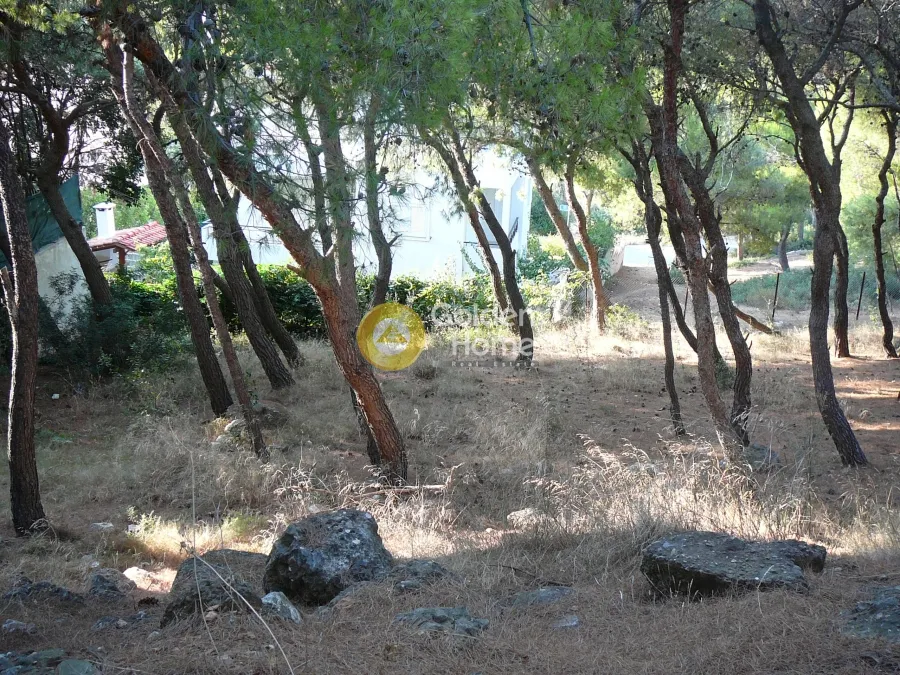 Aed - Buildable Plot with Forest View in Kallithea