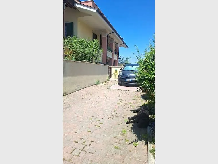 Esterno - Casa indipendente con giardino a Pomezia