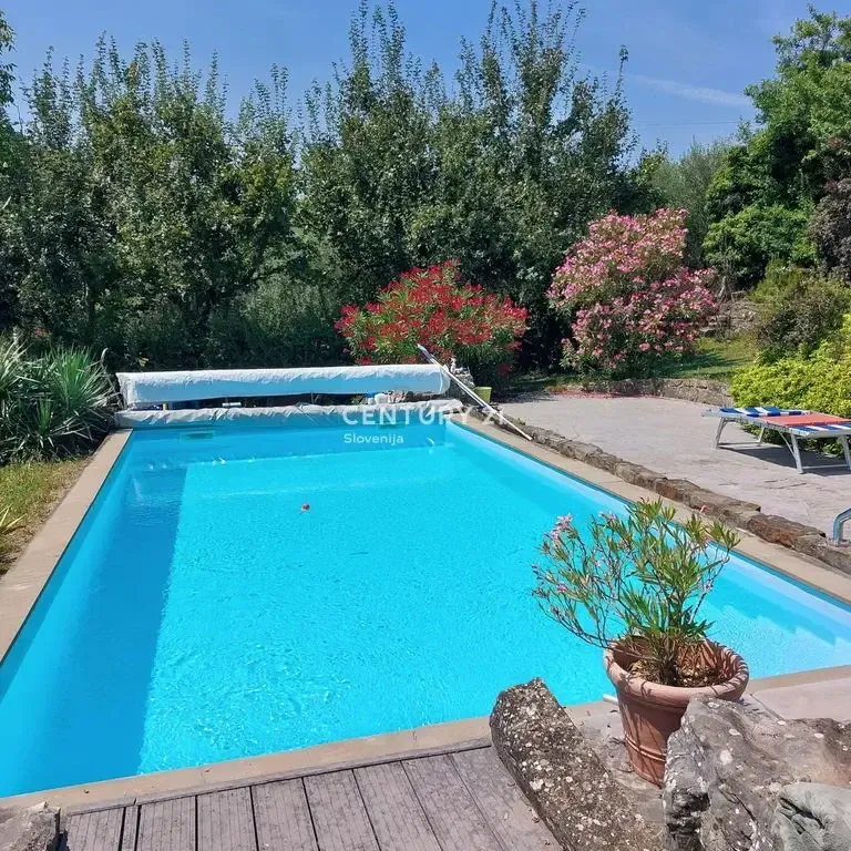Piscina - Stone Villa with Pool in Pomjan, Koper