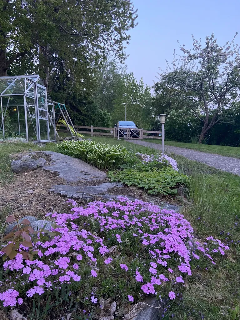 Garden - Extended Villa with Garden in Knipared