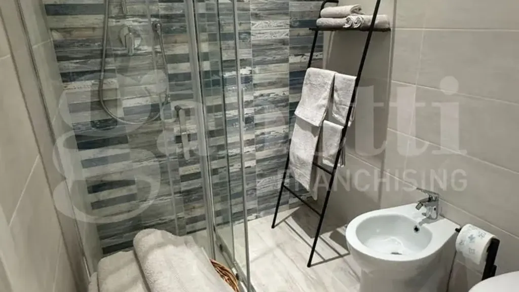 Bathrooms - Modernised Apartment with Disabled Access in Savona