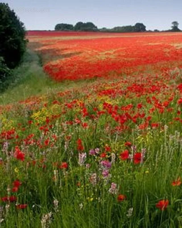 Buildable Plot with Garden in Notre-Dame-d'Oé