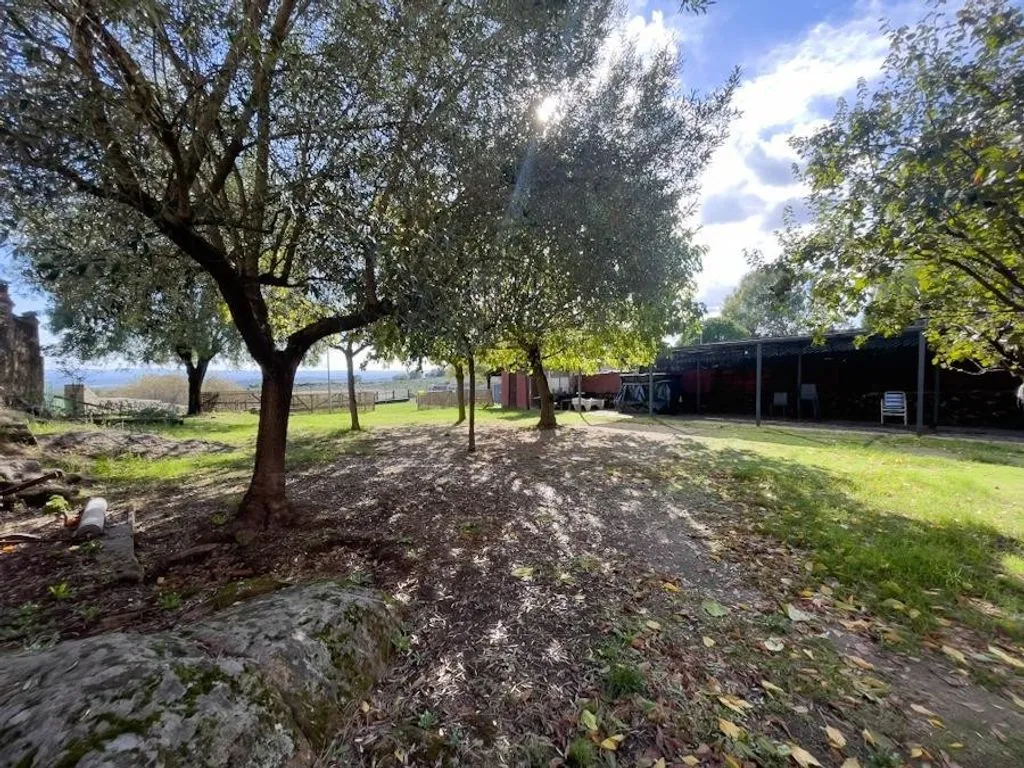 Aed - Luxury Farmhouse with Pool in Casar de Cáceres