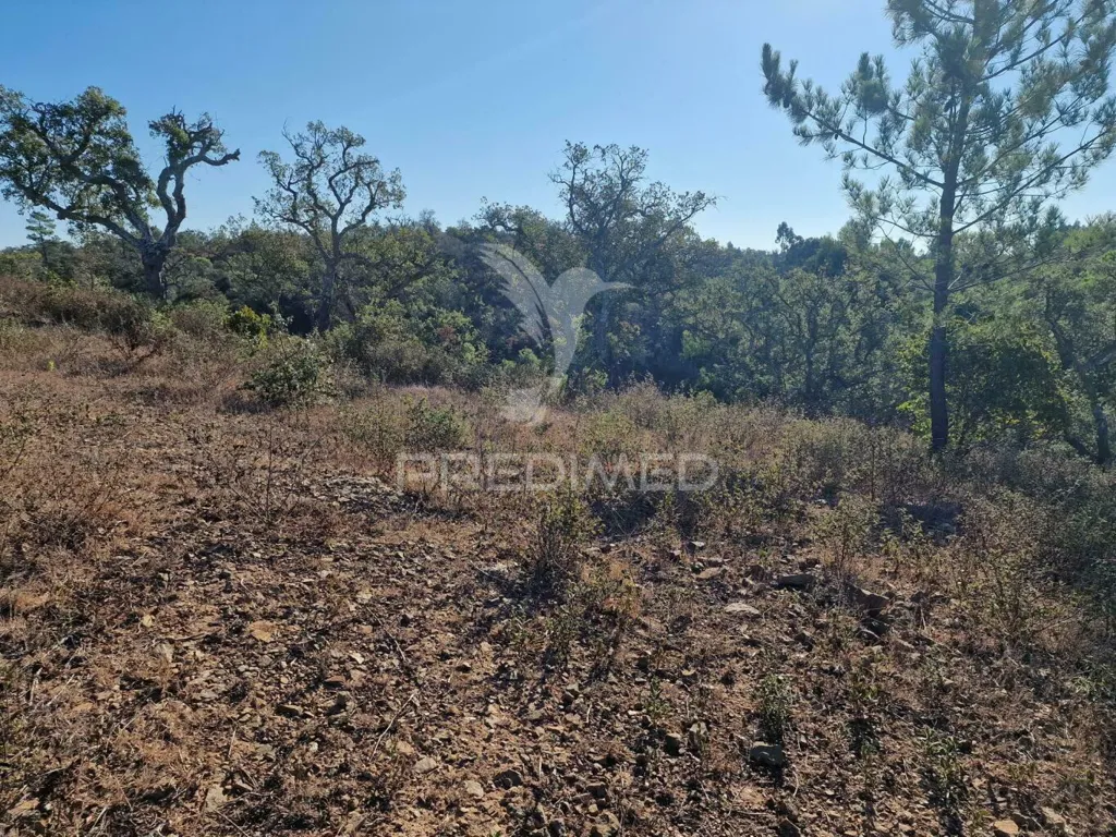 Jardin - Ruin with Construction Potential in São Francisco da Serra