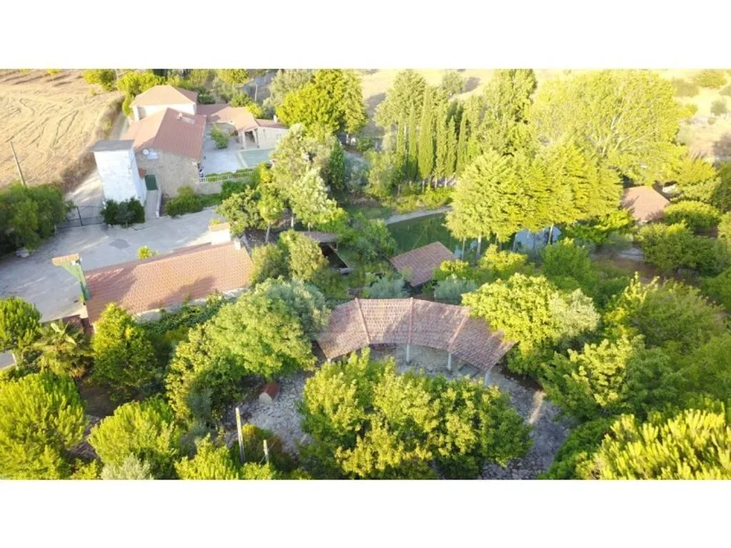 Õhuvaade - Luxury Farmhouse with Pool near Santarém