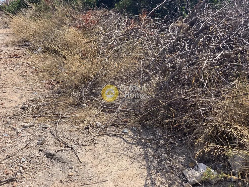 Garden - Plot with Sea View in Agia Paraskevi Centre