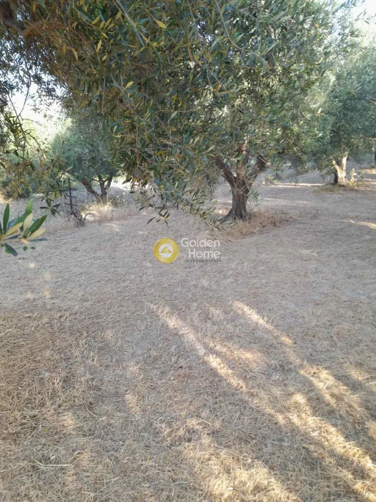 Land in GR