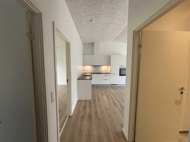 Cuisine - Contemporary Apartment with Balcony in Kolding