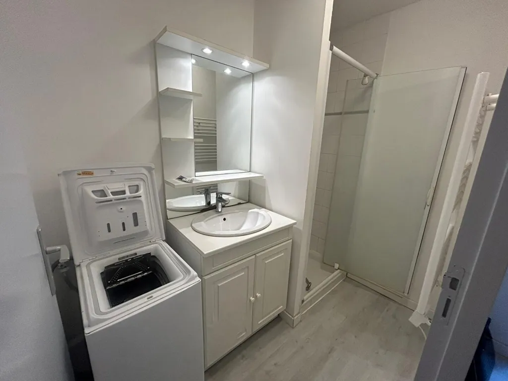 Bathrooms - Meubled Flat with Courtyard in Nantes