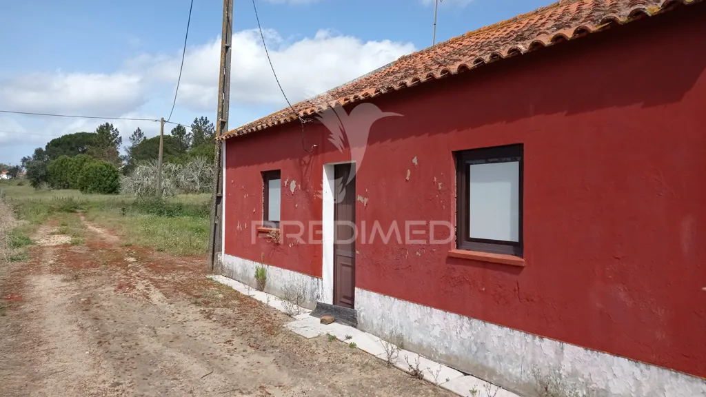 Välivaade - Traditional House with Fruit Trees in Couço, Coruche