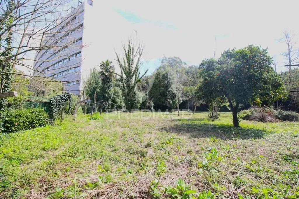 Aed - Development Land with Shops in Guimarães